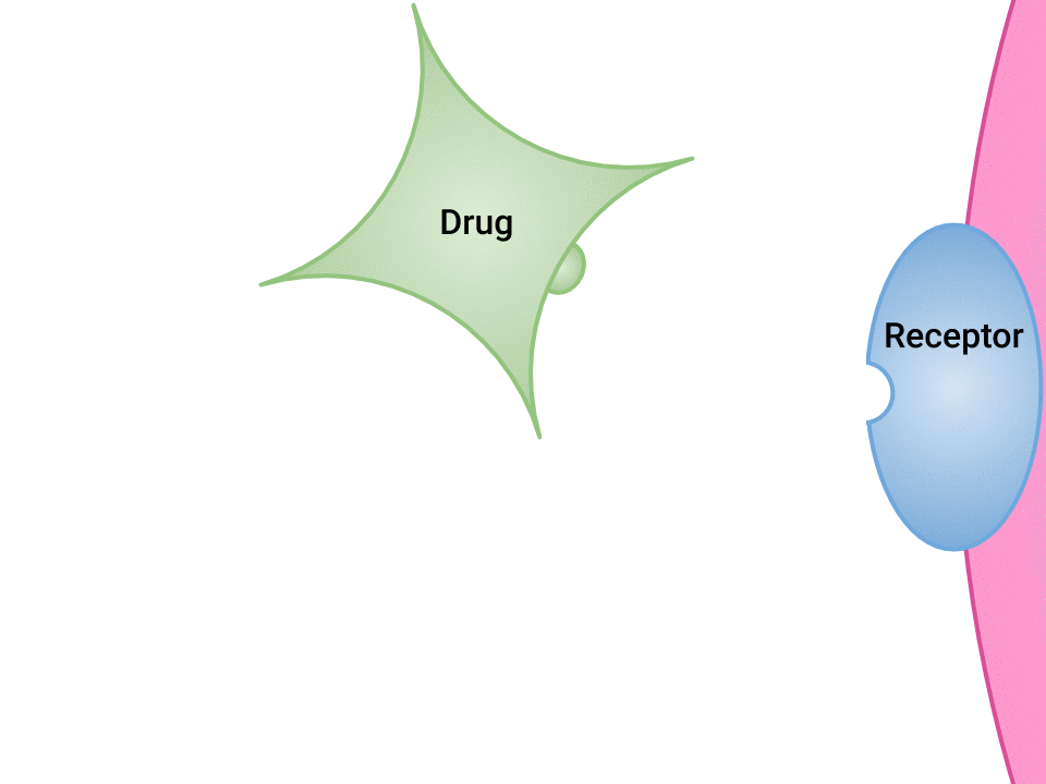 Animated image of drug binding to receptor