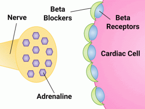 Image showing mechanism of action with with labels