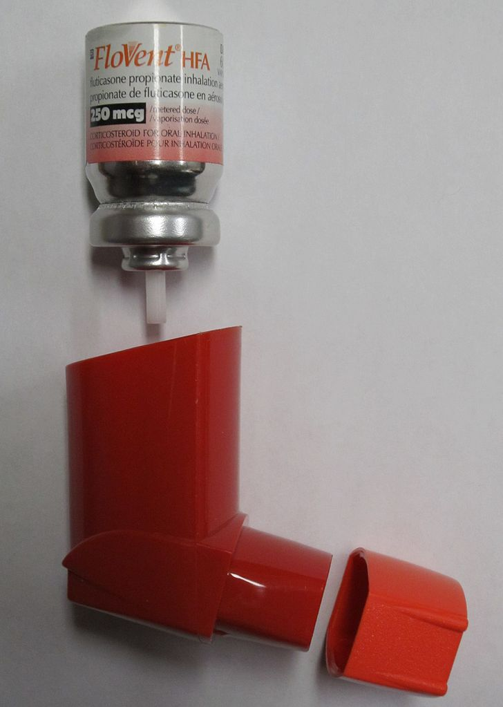 photo of inhaler for delivery of Fluticasone
