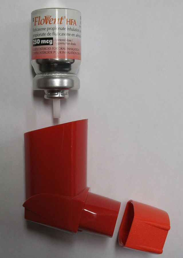 Photo of fluticason solution and inhaler