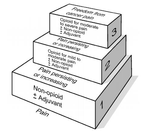 Image of The World Health Organization's Pain Ladder