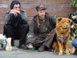Homeless guys with dog