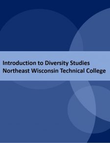 Introduction to Diversity Studies book cover