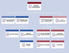 Chapter 7 Structuring Organizations – Fundamentals Of Business