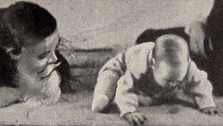 A photograph taken during Little Albert research of a baby leaning forward while being observed.