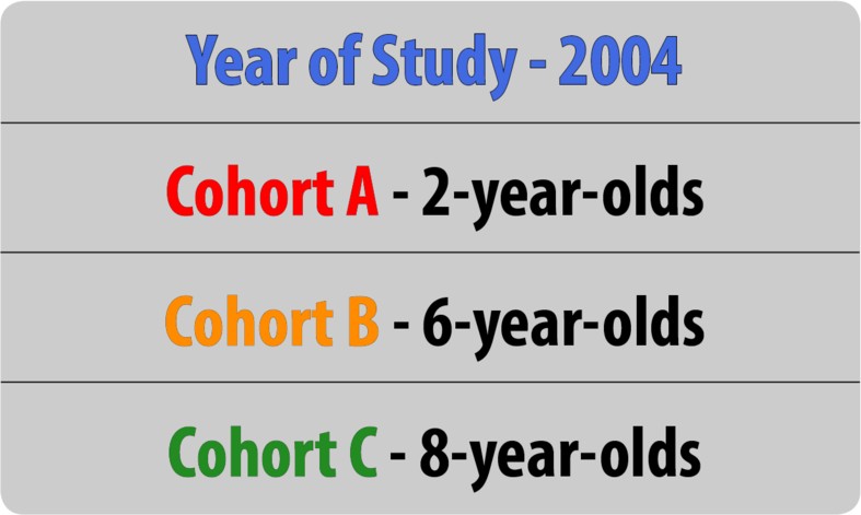 A cross-sectional research design. The year of the study is 2004. Cohort A had 2-year-olds, B has 6-year-olds, and C has 8-year-olds.