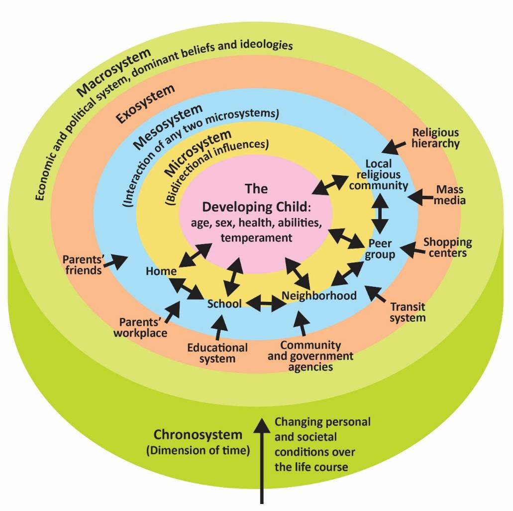 Bronfenbrenner's ecological systems theory. The different systems are represented as rings around the core of the developing child.