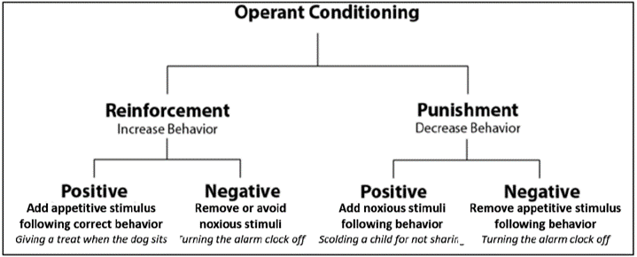 Levels of operant conditioning