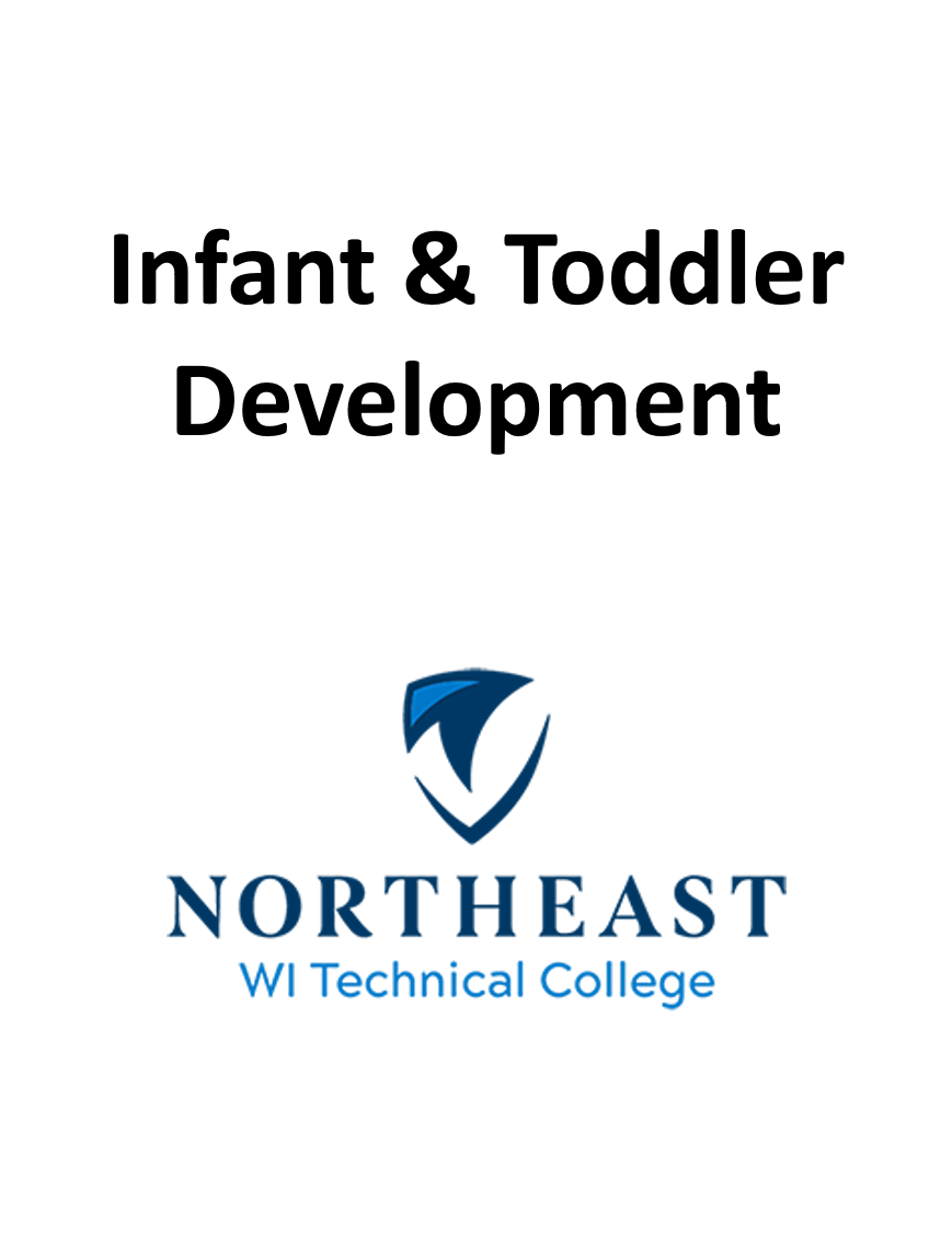 Cover image for Infant & Toddler Development