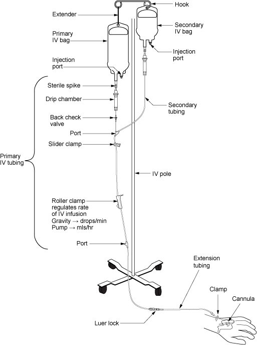 Illustration of IV Pole and tubing setup with labels