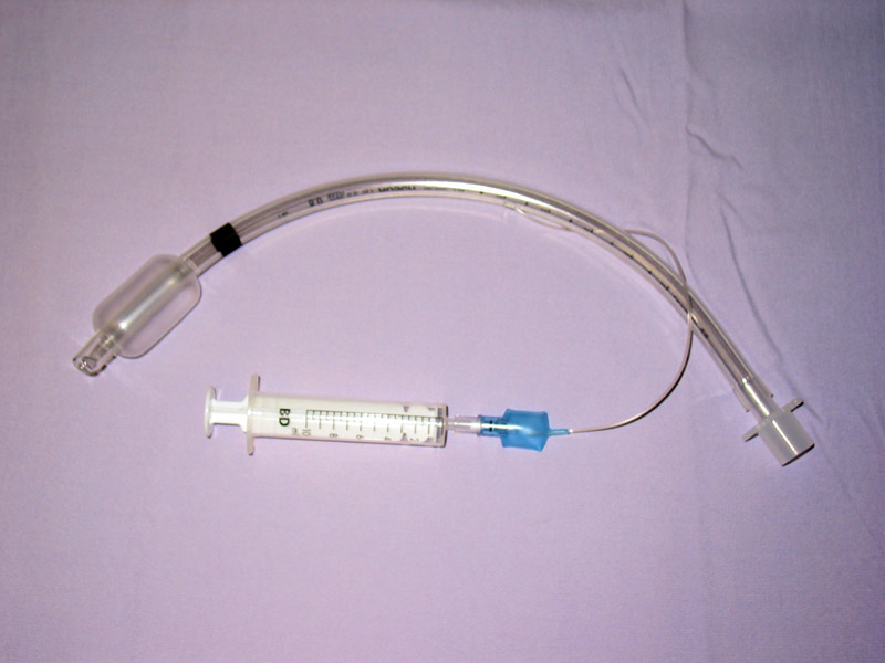 Photo showing an endotracheal tube