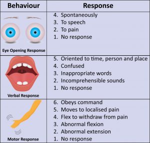 6.4 Assessing Mental Status – Nursing Skills – 2e