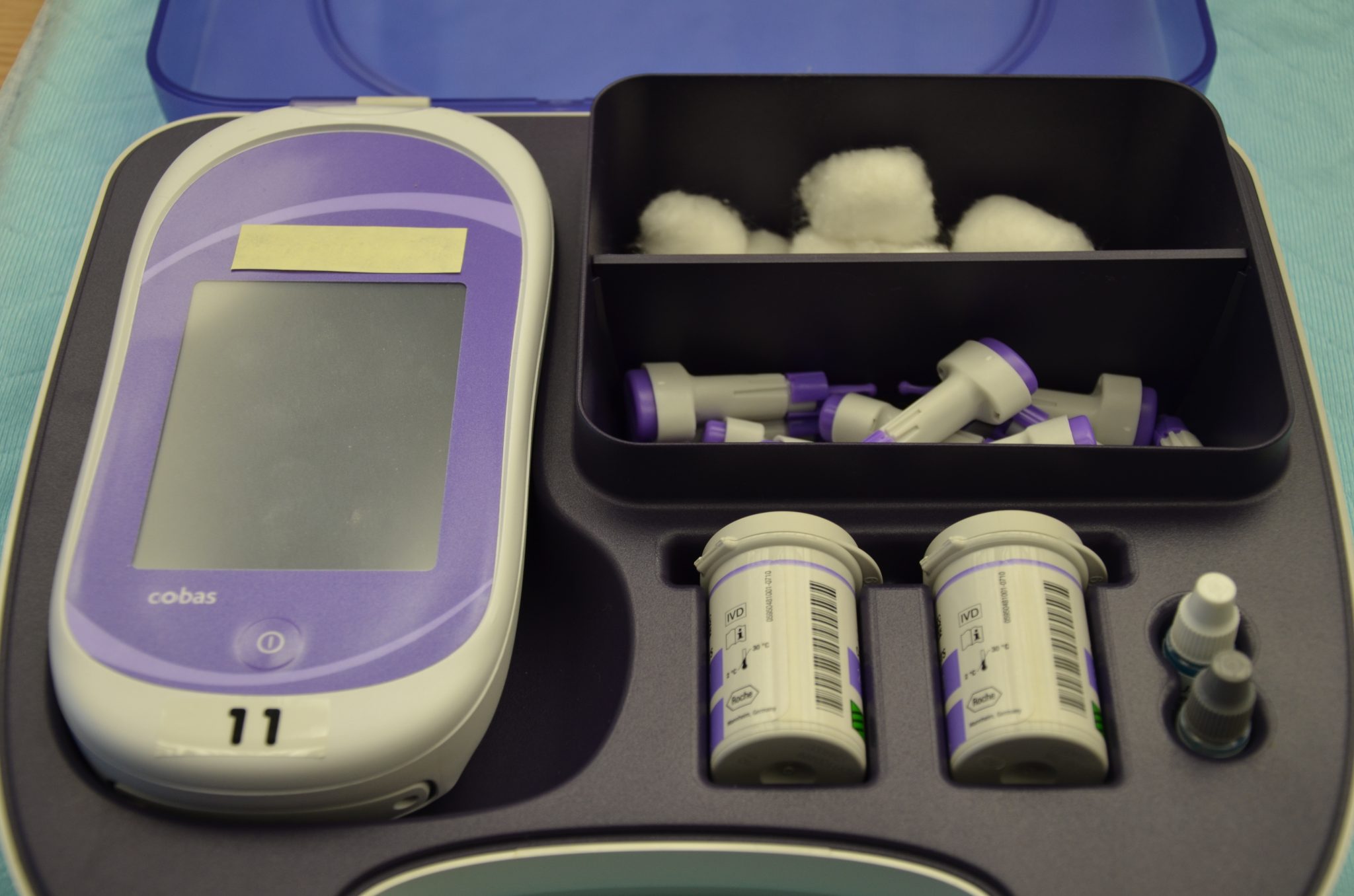 19.2 Blood Glucose Monitoring Nursing Skills 2e