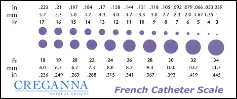Image showing the French Catheter Scale