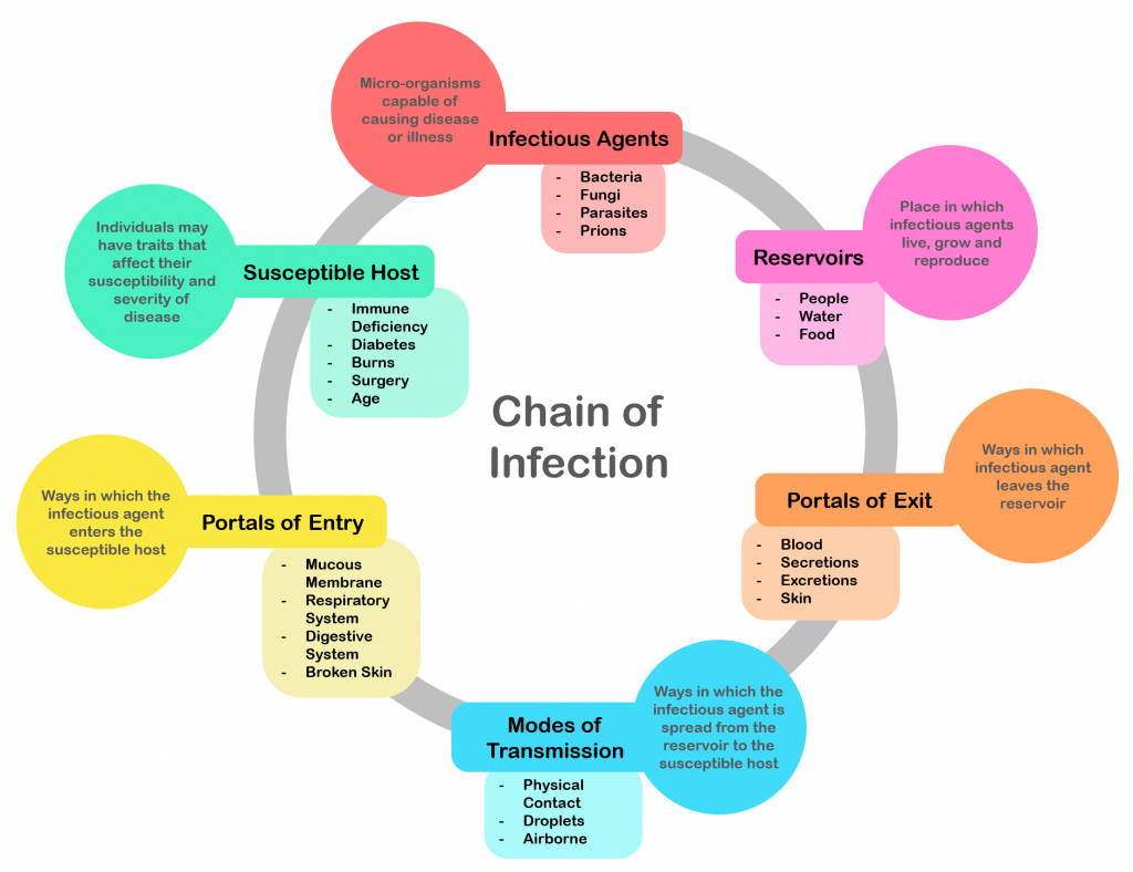 Image of the Chain of Infection, with textual labels