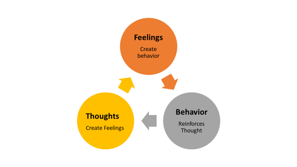 Image showing three circles with text describing process of dialectical behavior therapy