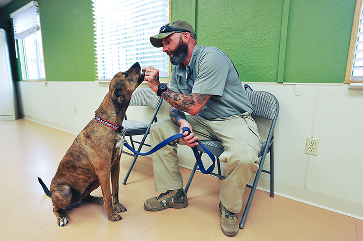 Photo showing a seated veteran interacting with his service dog