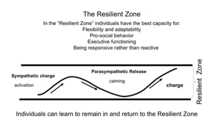 Image showing explaining resilient zone
