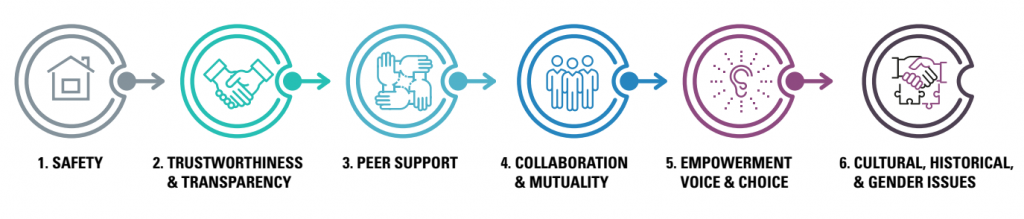 Image showing Core Principles of Trauma-Informed Care, with textual labels and decorative icons