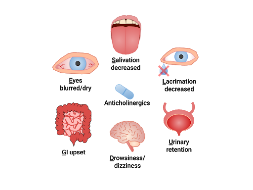 Illustration showing SLUDGE Effects of Anticholinergics