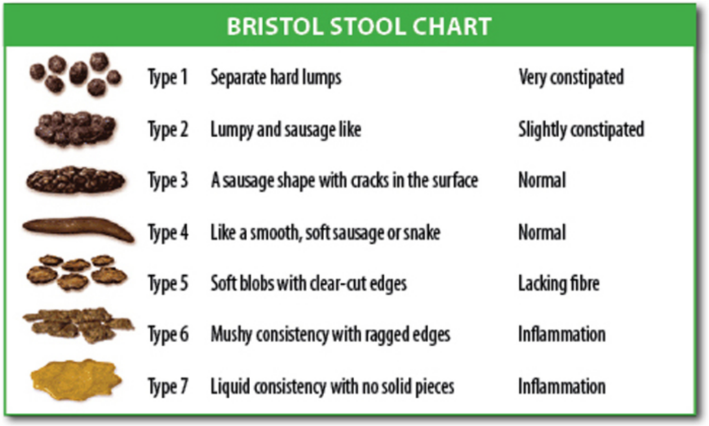 Image showing Bristol Stool Chart
