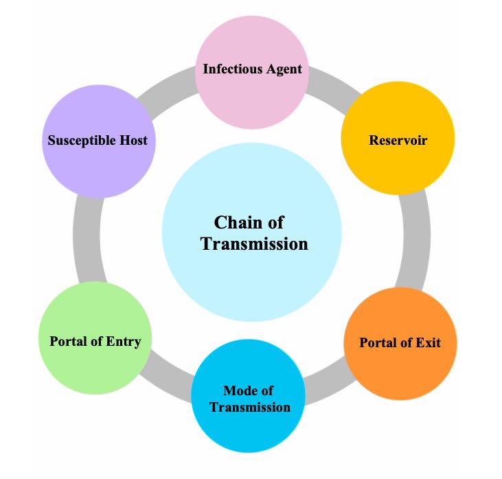 Diagram showing Chain of Infection