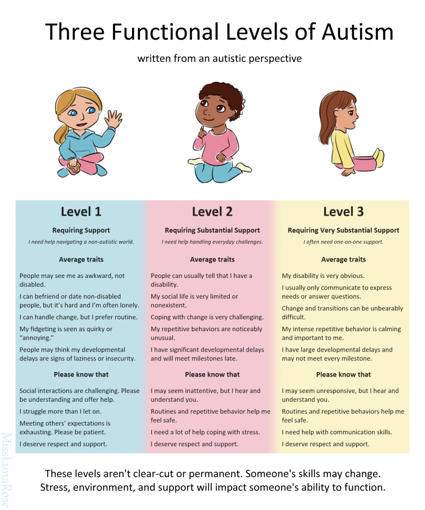 Infographic outlining Three Functional Levels of Autism