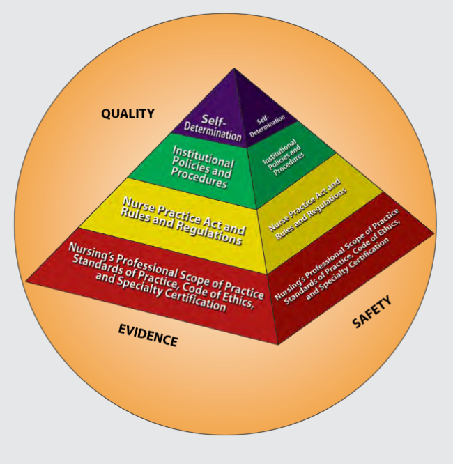 Image showing American Nursing Association Model of Professional Nursing Practice Regulation
