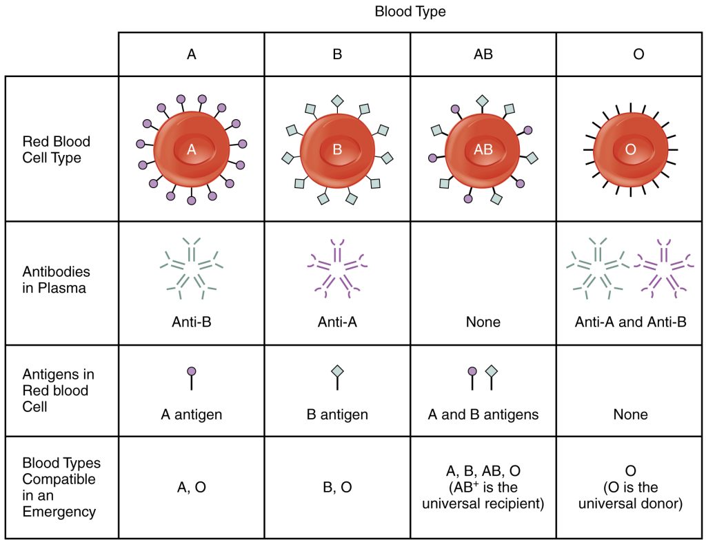 Image showing blood types and their components in a layout table