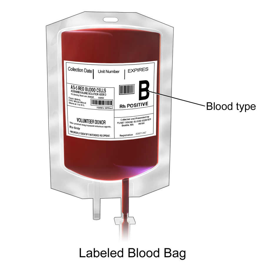 Illustration showing a Labelled Blood Bag of Red Blood Cells