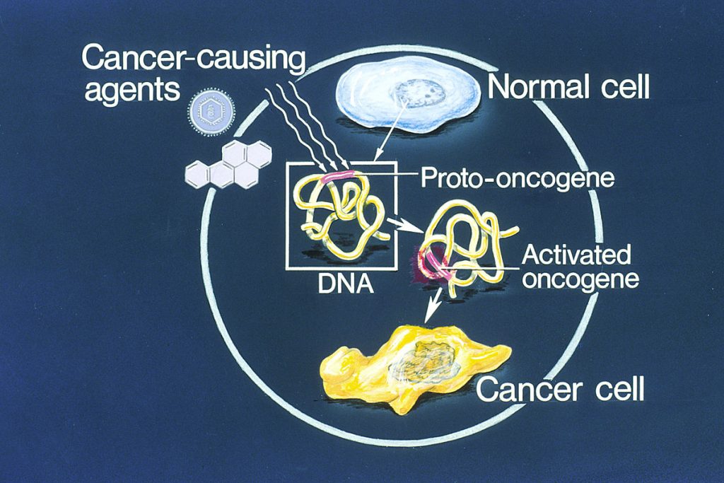 Illustration showing oncogene activation