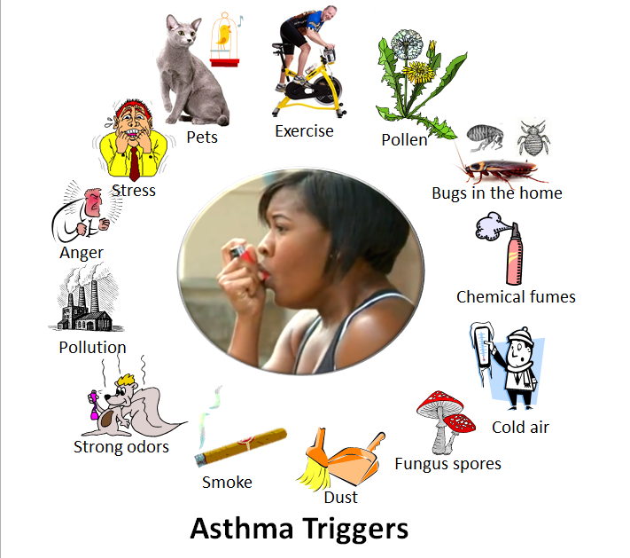 Image showing several images surrounding a central image of a person using an asthma inhaler, to depict the various asthma triggers