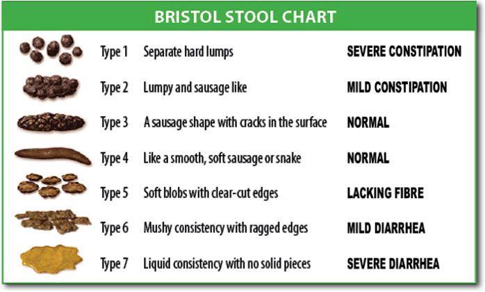 Image showing the Bristol Stool Chart with seven types categories of stool