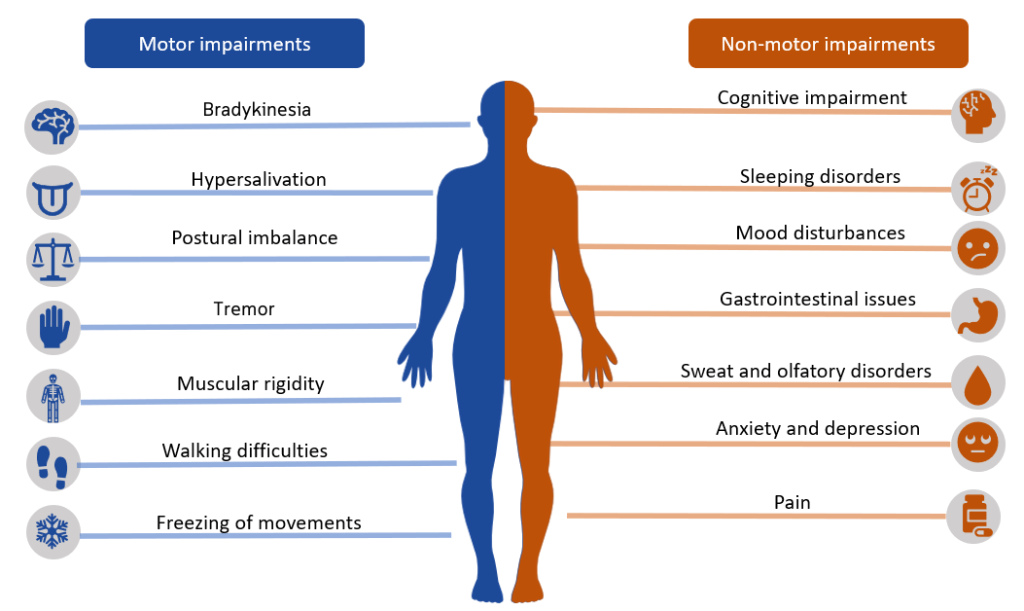 Infographic showing Motor and Non-motor Manifestations of Parkinson’s Disease symptoms on a human form