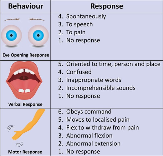Image showing a chart with text and images explaining Glasgow coma scale