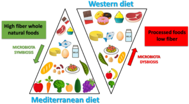 Infographic showing a Comparison of a Mediterranean Diet and a Typical Western Diet