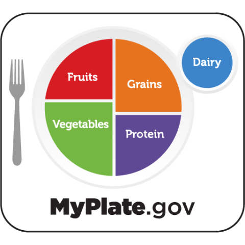 Image showing USDA My Plate guidelines