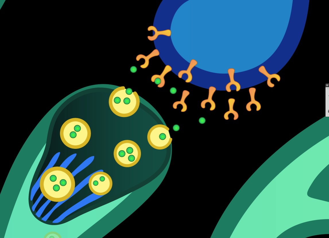 Image showing closeup of Neurotransmitters