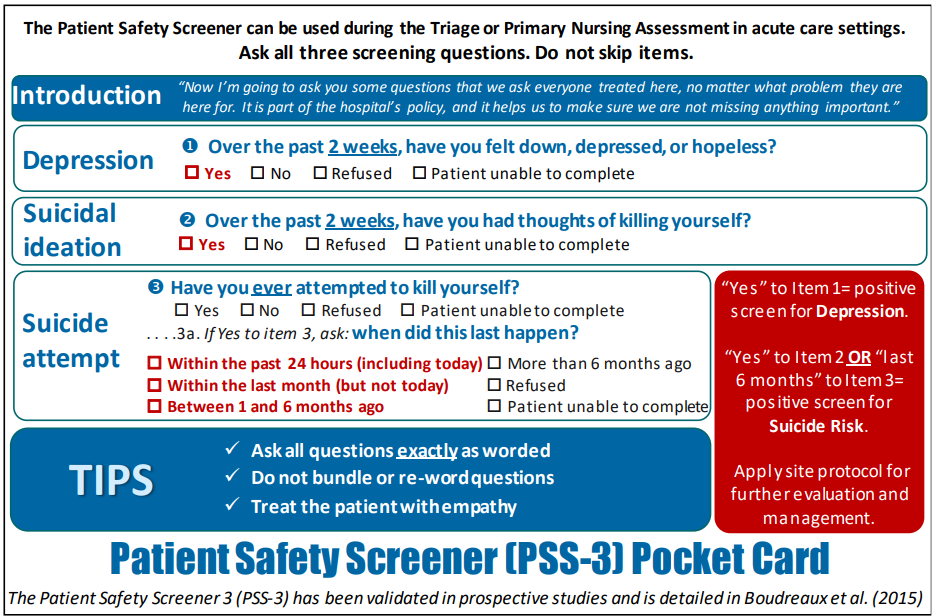 Image showing the Patient Safety Screener (PSS-3)