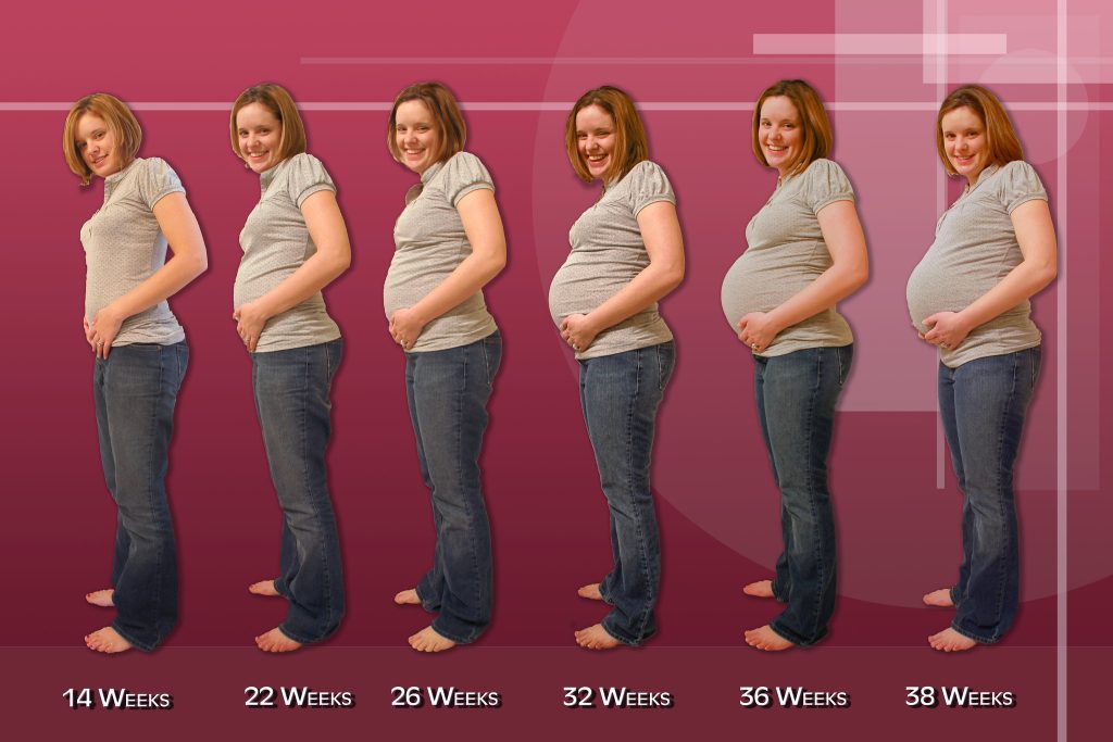 Photo showing progression of a woman's pregnancy