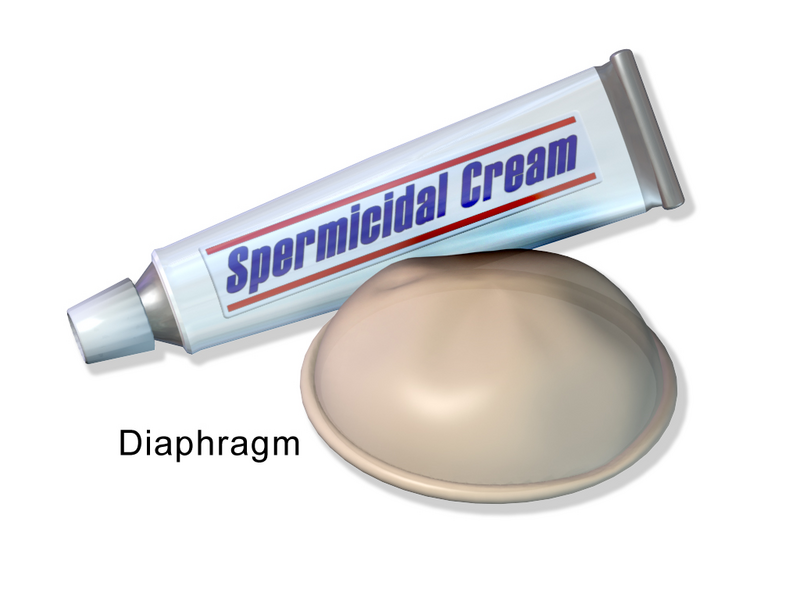 Illustration showing a tube of spermicidal cream and a diaphragm