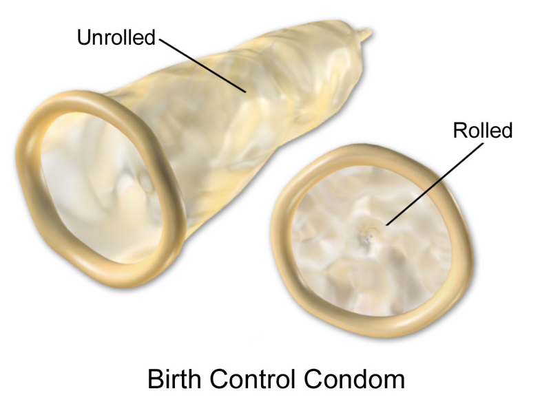 Illustration showing both a rolled and unrolled view of a male condom