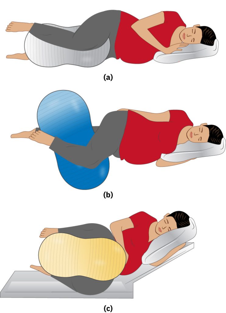 Illustration showing a pregnant female using a peanut ball in three different positions