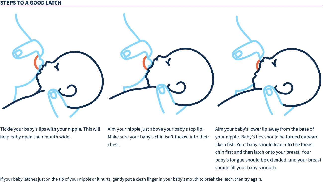 Infographic detailing steps to a good breastfeeding latch