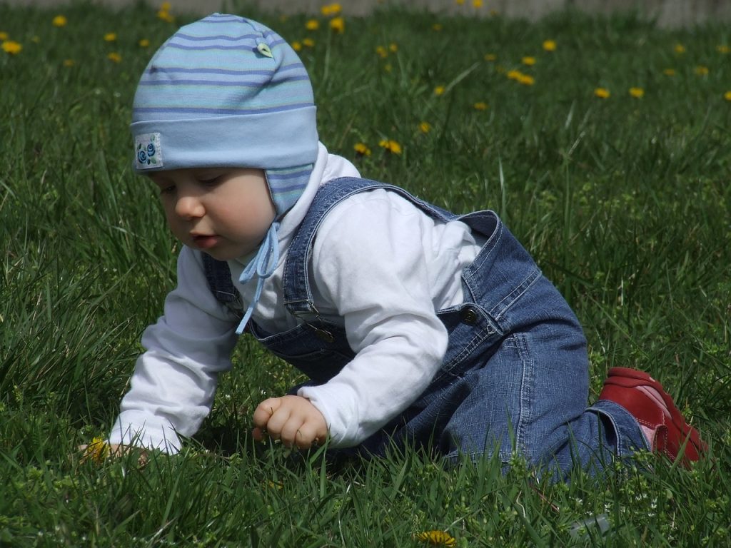 Photo showing a very young child crawling in the grass