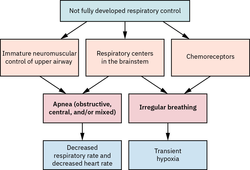 Image showing the Causes of Apnea of Prematurity