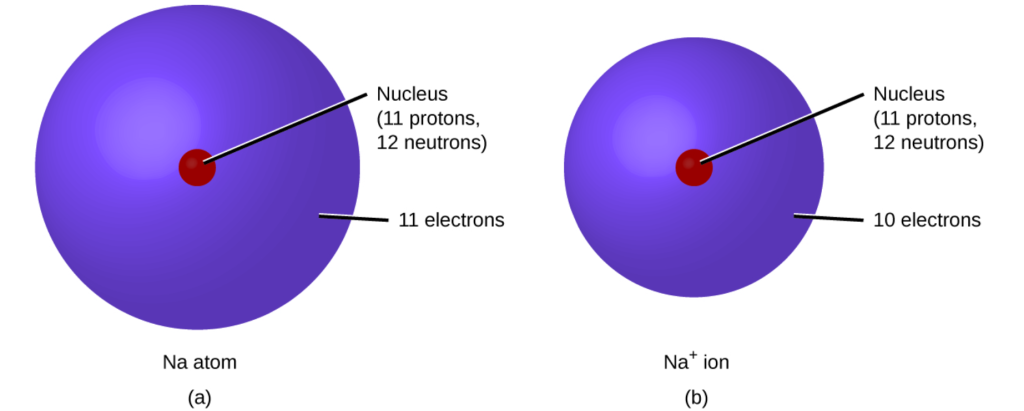 "5f15c723c3300cd09b4db14bef2d78cd6e72a8b0" by Rice University is licensed under CC BY-NC 4.0. Access for free at https://openstax.org/books/chemistry-atoms-first-2e/pages/3-7-ionic-and-molecular-compounds#CNX_Chem_02_06_NaCation Illustration showing both a sodium atom and a sodium ion