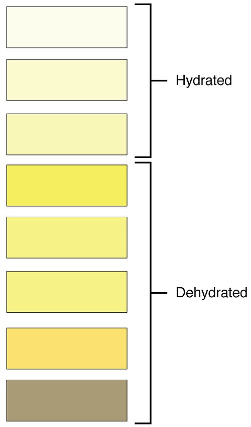 "2601_Urine_Color_Chart.jpg” by OpenStax College is licensed under CC BY 3.0 Urine color chart