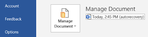 Image showing how the Manage Document button appears when Info is selected.