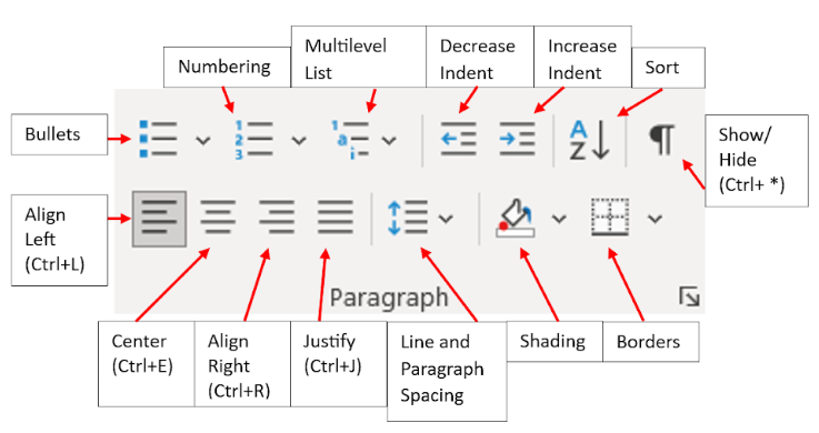 Image showing the paragraph ground tool options